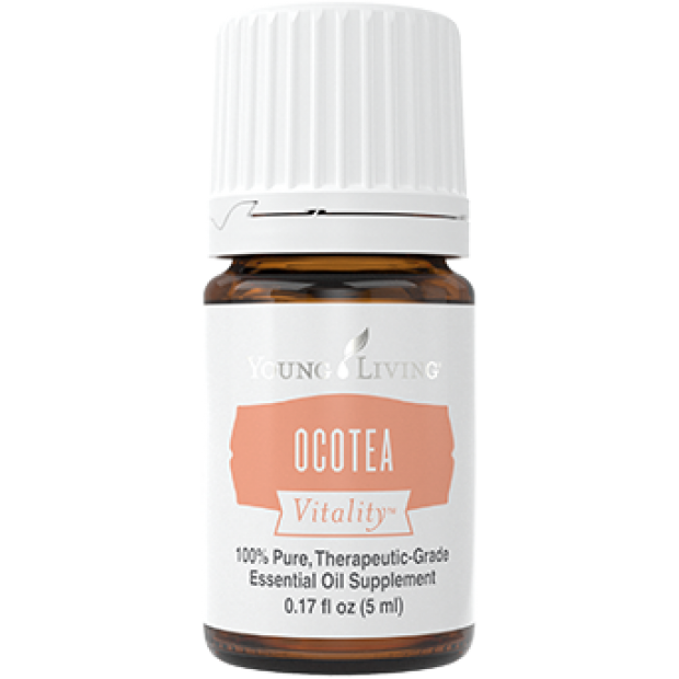 Ocotea vitality
